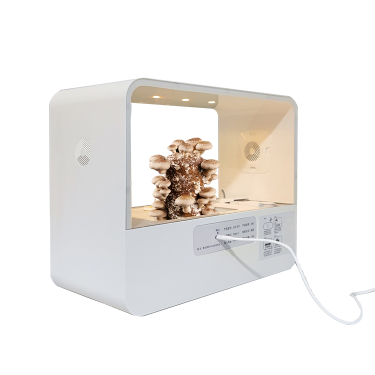 Smart Garden Design - New Design Mini Mushrooms Planter Garden