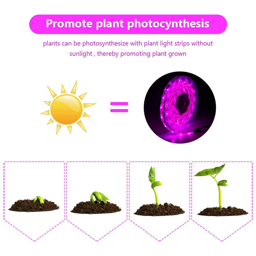 USB Full Spectrum LED Grow Lig - Led Plant Light Strip ulasan dan harga