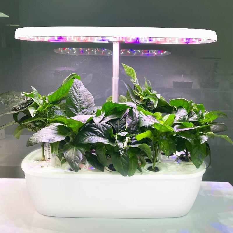 Smart Electronic Indoor Hydrop - Smart Garden Design ulasan dan harga