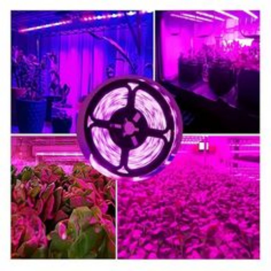 1M/2M/3M/5M/10M LED Full Spect - Led Plant Light Strip ulasan dan harga