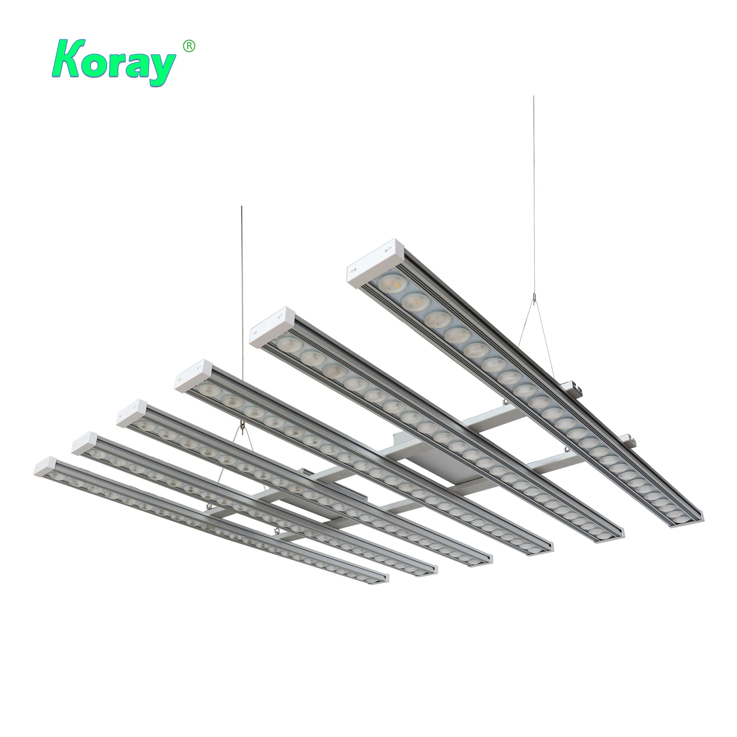 Koray 900W Indoor full spectru - Led Plant Light Strip ulasan dan harga