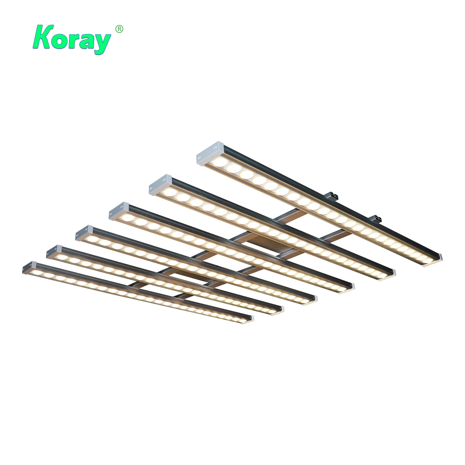Koray 900W Indoor full spectru - Led Plant Light Strip ulasan dan harga