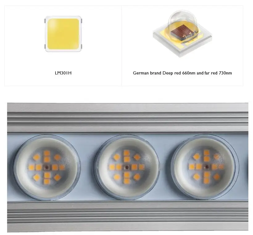 Koray 900W Indoor full spectru - Led Plant Light Strip ulasan dan harga
